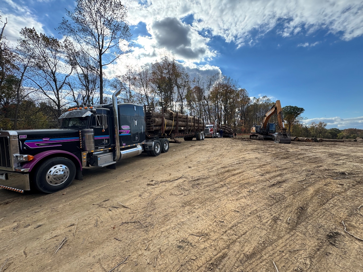 land-clearing-services-2