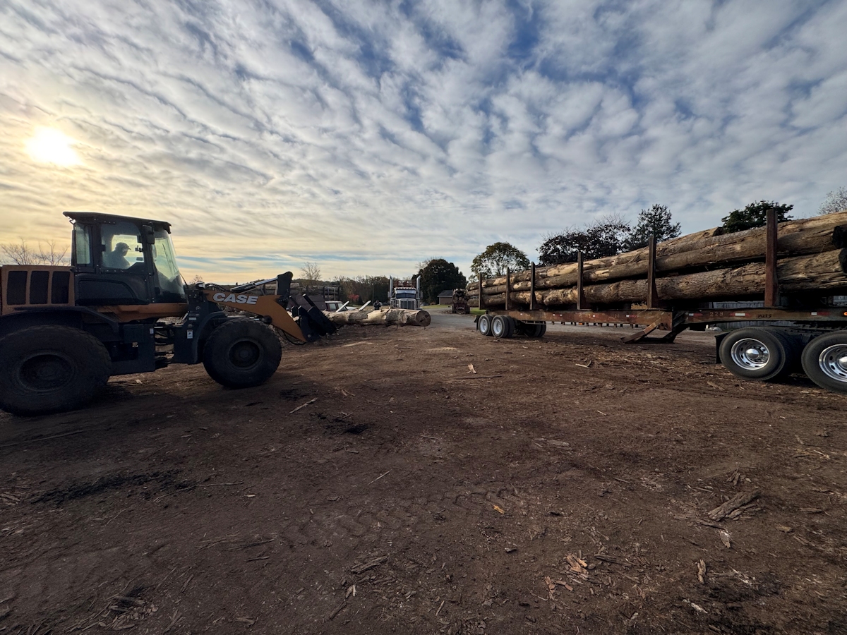 land-clearing-services-3